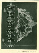 1930 Magazine Magazine Electric Flow Insulator Antique Document