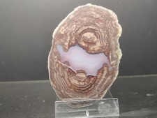 CRIS 5 O DEMIE LITHOPHYSE POLIE MASSIF DE L'ESTEREL VAR FRANCE