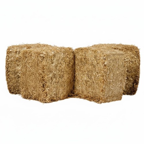 Litière paille bio kg - litière,