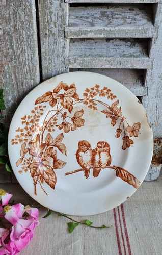 Ancienne assiette plate terre - plate,