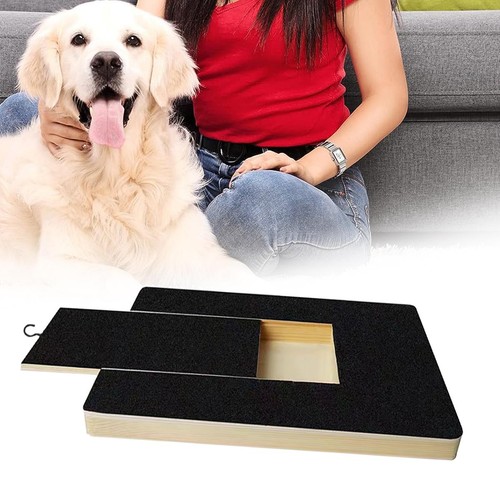 Lime ongles pour - ongles, chien