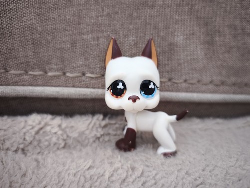Authentique littlest pet - pet, shop