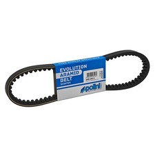Courroie Variateur Polini Evo