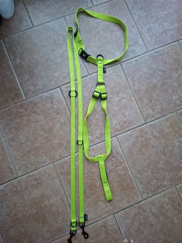 Kit harnais laisse - kit, +
