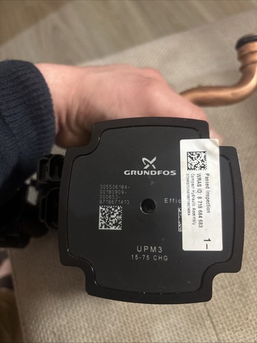 Grundfos 99217229 pompe - 99217229, /