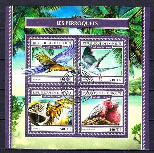 Animaux oiseaux perroquets - oiseaux,