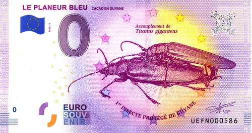 Cacao planeur bleu 3 - 97,