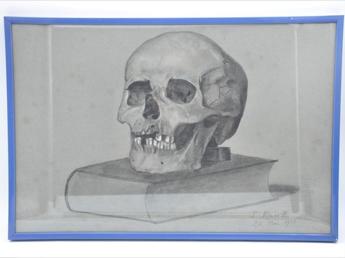 Ancien dessin crâne - ancien,
