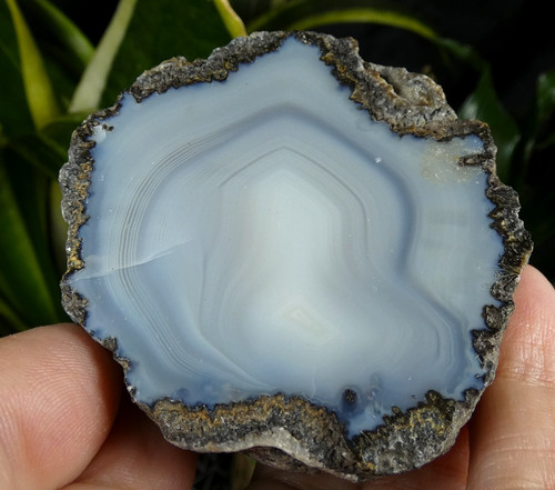 Agate coconut bleue - bleue, choyas