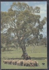 Australia 20c Pre Stamped Postcard - Mustering Sheep in the Bush Unused