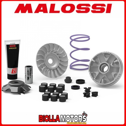 5118238 variateur malossi mhr - malossi,