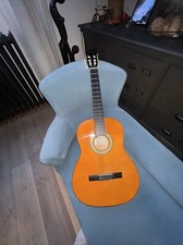 guitare acoustique occasion