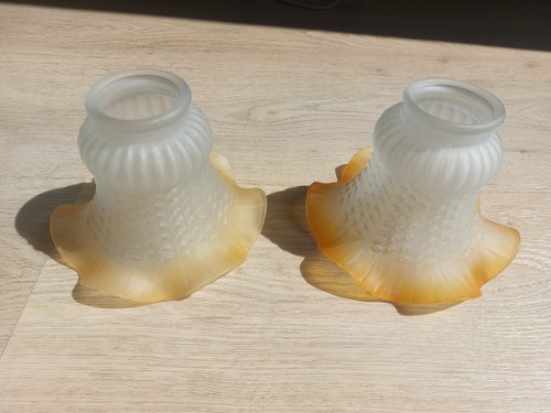 Paire tulipes verre - , dépoli