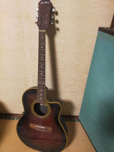 Guitare acoustique électrique