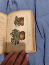 Livre ancien Larousse XIXe