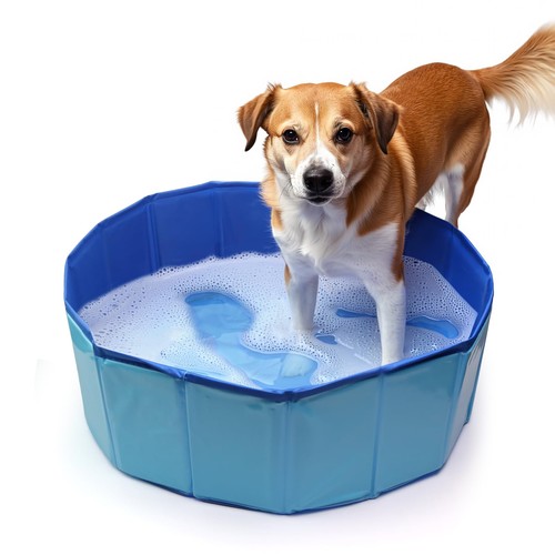 Piscine pour chien 20 - pour,