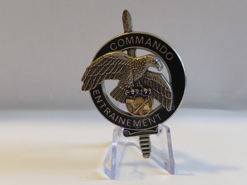 Insignes brevet cnec stage - cnec,