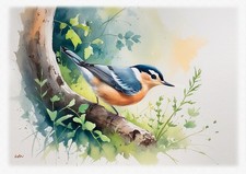 Tableau - création originale - Oiseaux - Passereaux