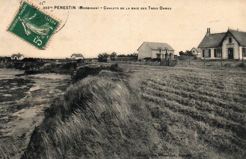 Cpa penestin - -,