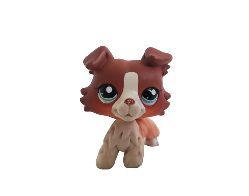 Petshop chien colley - petshop,