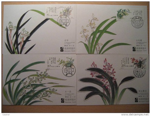 Chine orquidea orchidée flora - chine,