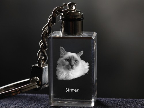 Sacré birmanie - de,
