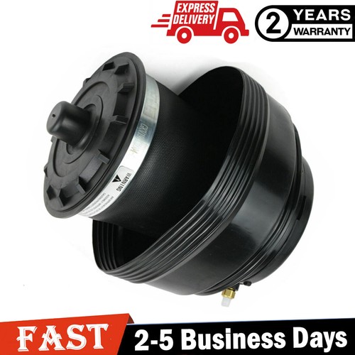 Rear left air - rear, spring