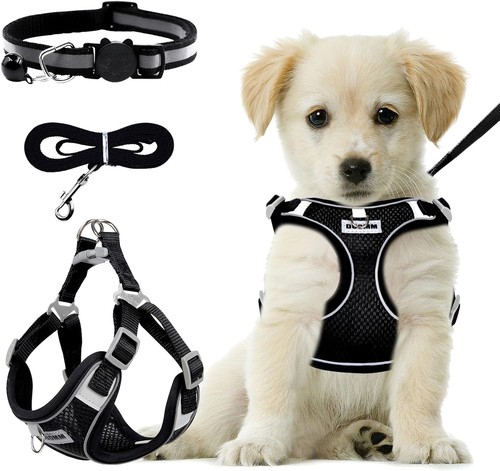 Harnais chien réglable - chien, gilet