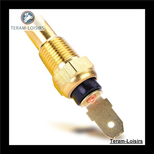 Sonde thermostat radiateur - sonde,