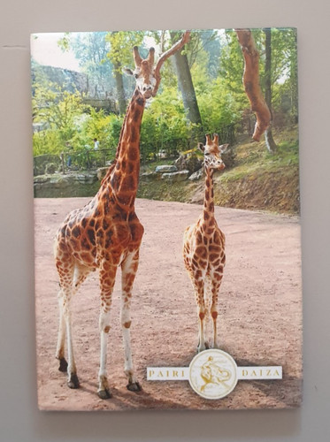 Magnet collection zoo - -,
