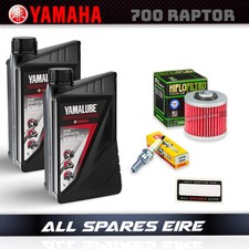 Yamaha Raptor YFM 700cc Basic