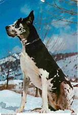 Carte Postale - Animaux -