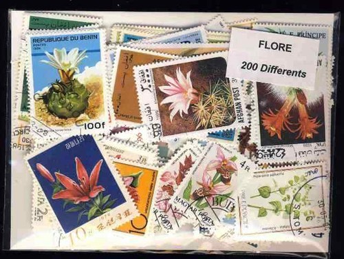 Flore fleurs flora - fleurs,