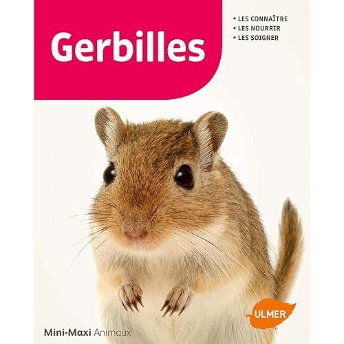 Gerbilles schmidt roger - gerbilles,