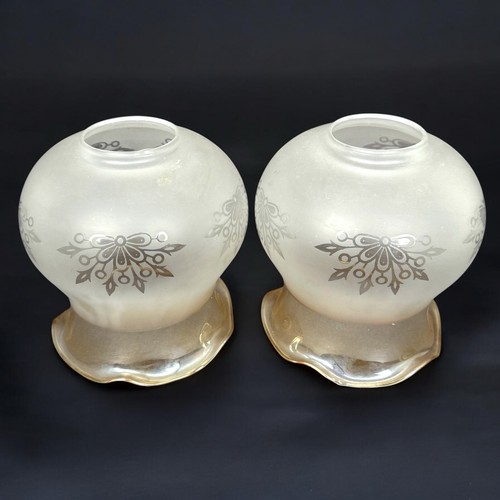 Lot globes tulipes en - lot,