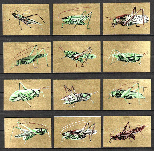 Matchbox label étiquettes - label, /