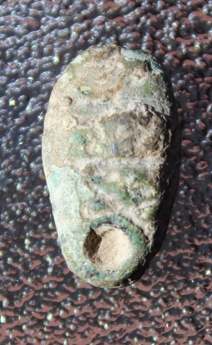 Ant nose chinese bronze - ant, coin