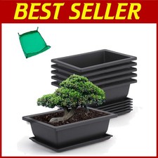 6 Pack 9" Bonsai Pots w/