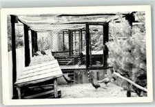 39425983 - Pheasant Aviary