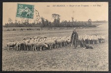 Old postcard 28: En Beauce, Shepherd and His Herd - 1900 - Circulated
