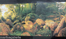 Broceliande granite breton