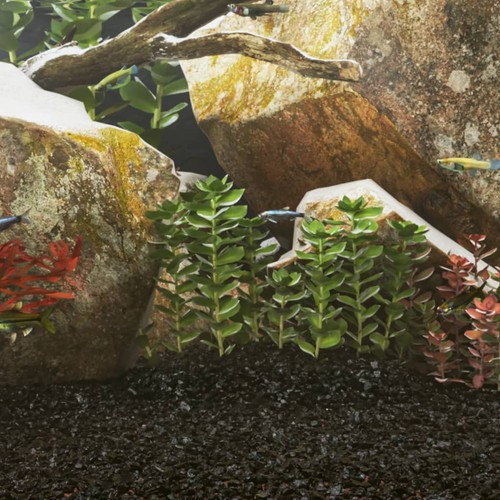 Sable pour aquarium - sable,