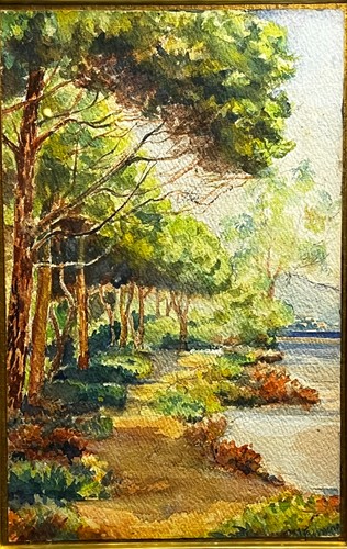 Les pins parasol art - parasol,