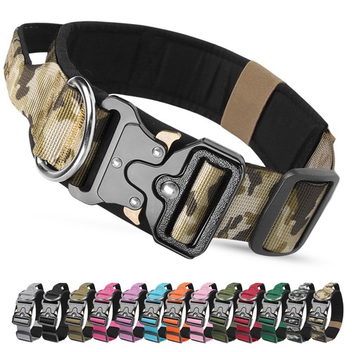 Collier tactique chien avec - collier,