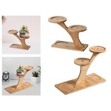 Plant de plantes en bois