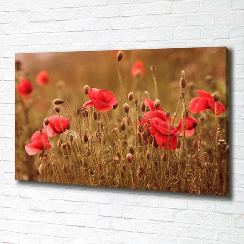 Tulup image sur toile tableau - toile,