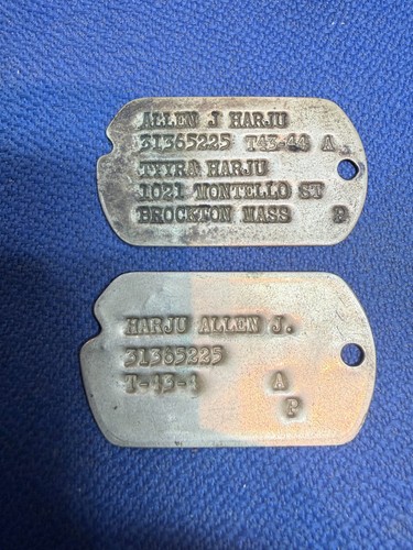 Militaria usa paire dog - usa,