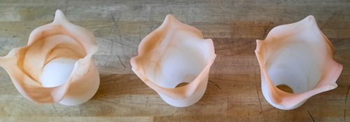 Tulipes art nouveau - tulipes, en