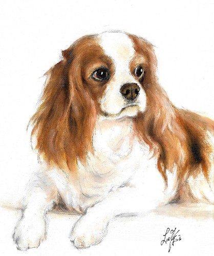 Original oil dog portrait - original,