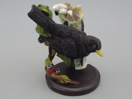 Oiseaux le merle - oiseaux,